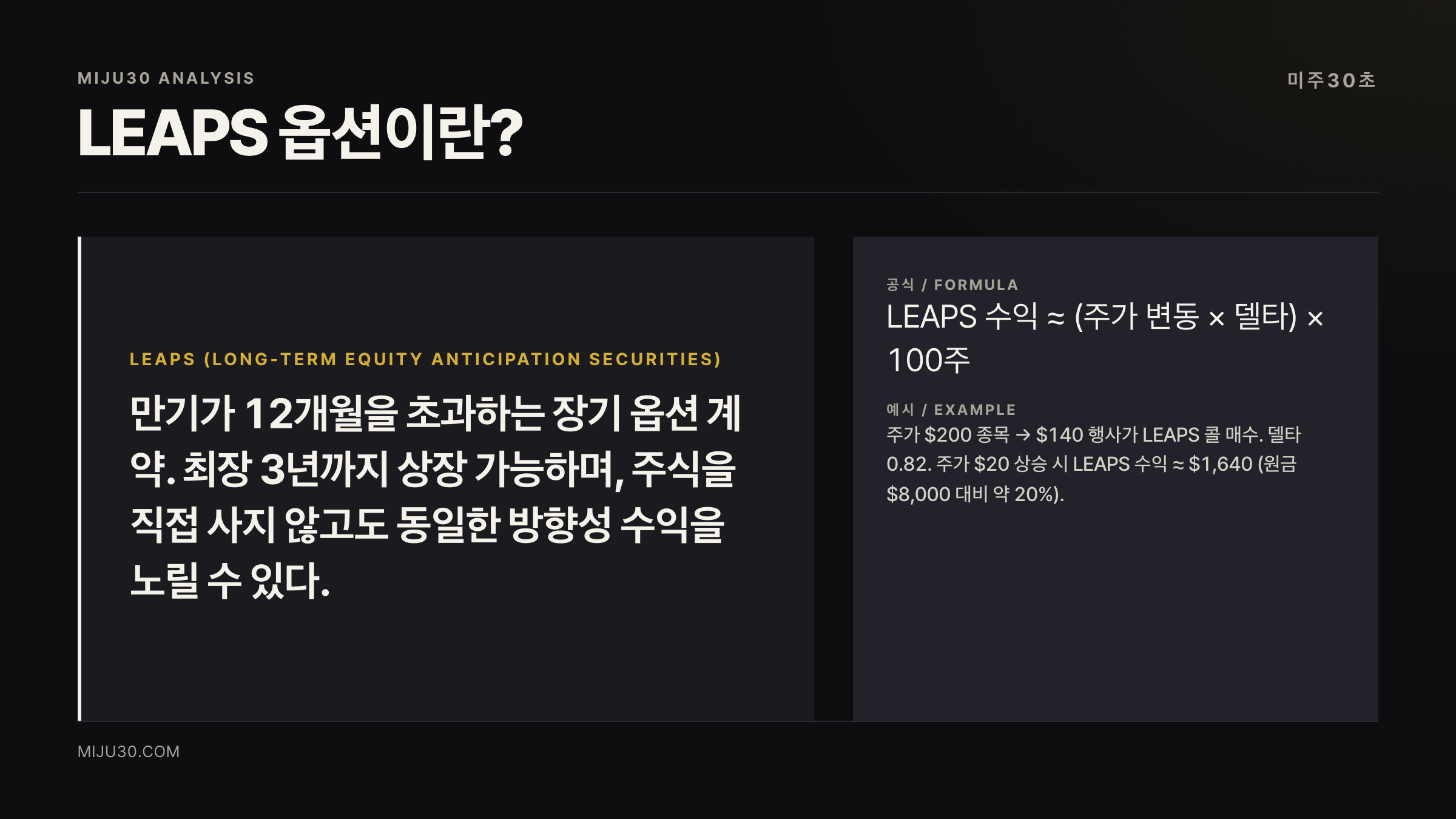LEAPS 옵션 개념 정의 — 만기 1~3년 장기 콜옵션